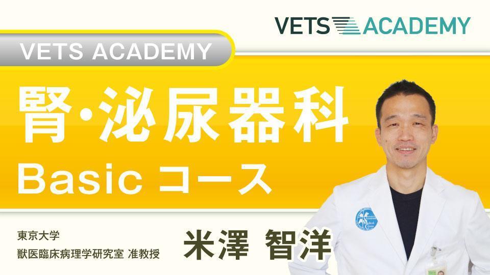 小動物臨床家のための腎・泌尿器病学 イヌとネコの腎臓病・泌尿器病: 丁寧な診断・治療を目指して