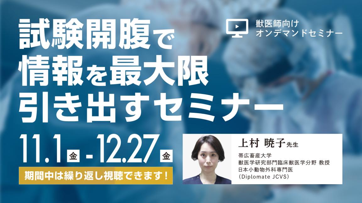 試験開腹で情報を最大限引き出すセミナー