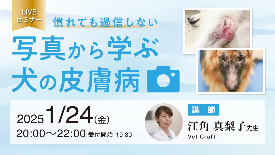 慣れても過信しない 写真から学ぶ犬の皮膚病