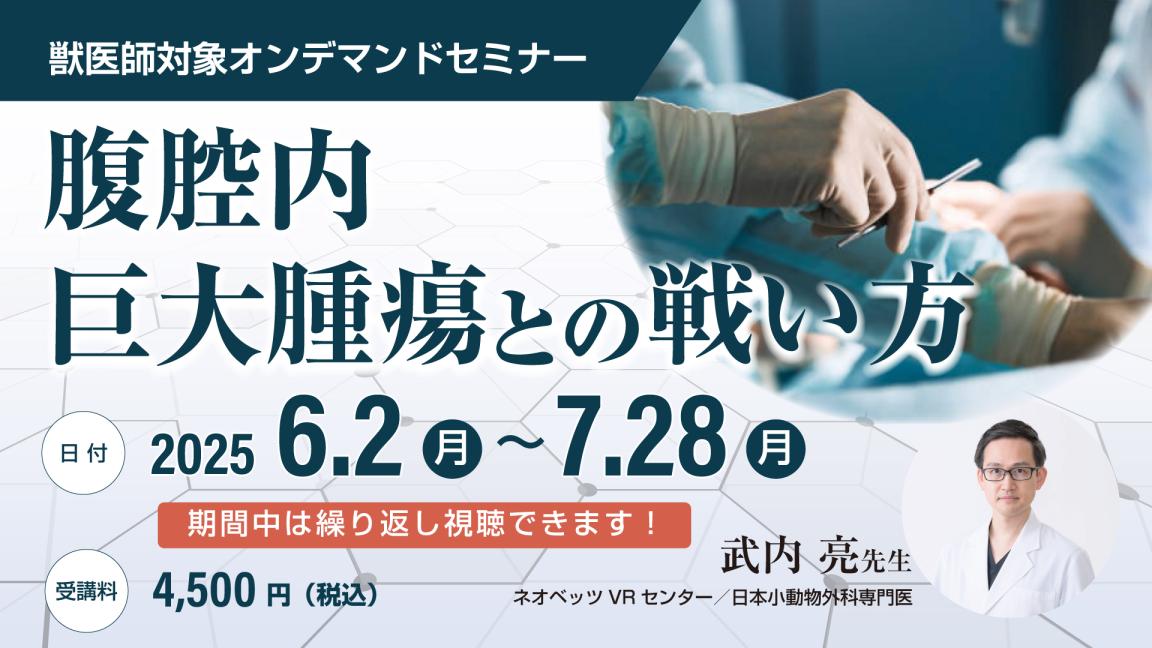 腹腔内巨大腫瘍との戦い方