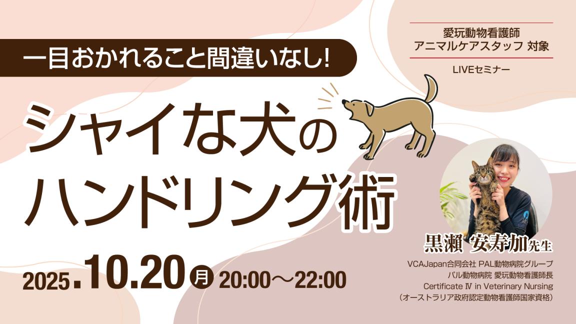 シャイな犬のハンドリング術