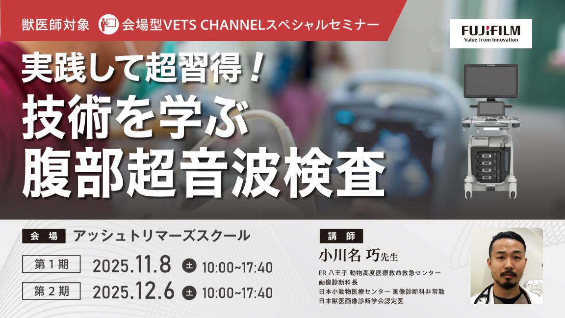 実践して超習得！技術を学ぶふくぶ超音波検査