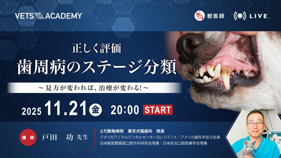 正しく評価 歯周病のステージ分類