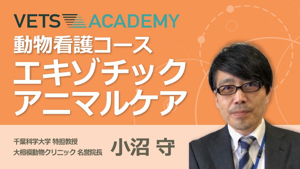 11月開講】動物看護コース エキゾチックアニマルケア|VETS ACADEMY