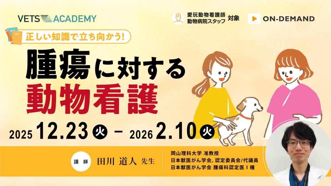 正しい知識で立ち向かう！腫瘍に対する動物看護