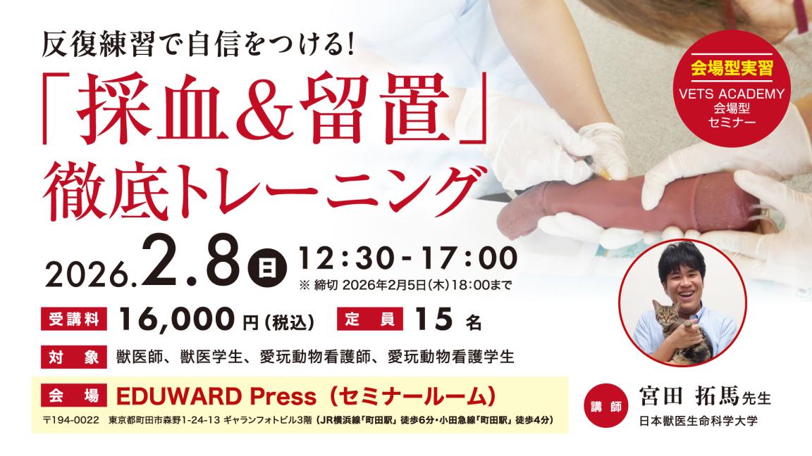 反復練習で自信をつける！ 「採血＆留置」 徹底トレーニング