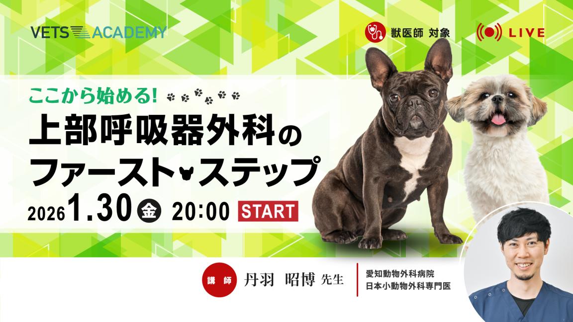 上部呼吸器外科のファースト・ステップ