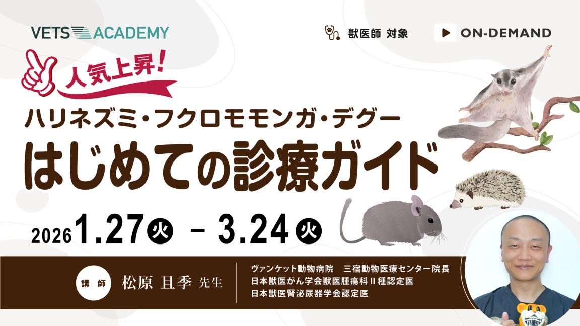 人気上昇！ハリネズミ・フクロモモンガ・デグー はじめての診療ガイド