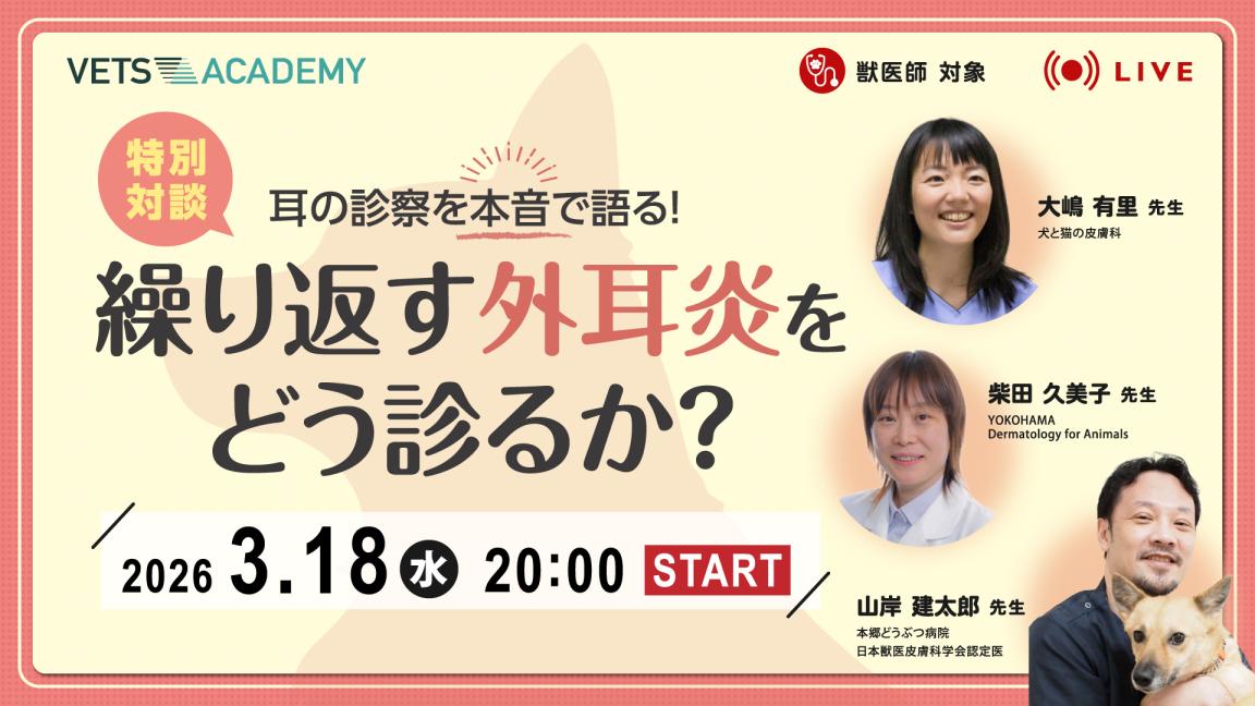 耳の診察を本音で語る！特別対談「繰り返す外耳炎をどう診るか？」