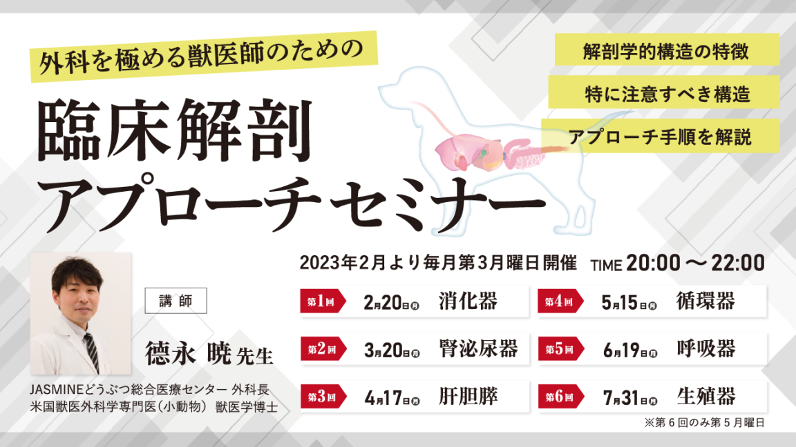 【全日・第1回・第2回・第3回】外科を極める獣医師のための臨床解剖アプローチセミナー