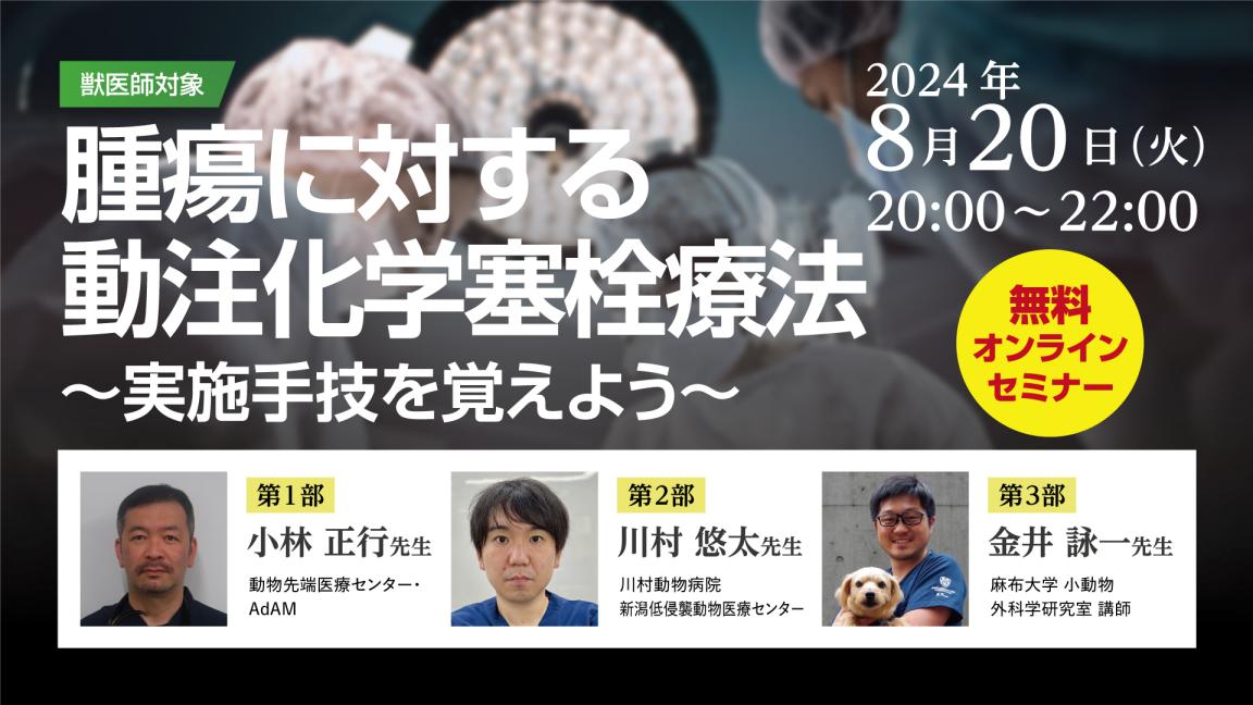  無料オンラインセミナー　腫瘍に対する動注化学塞栓療法～実施手技を覚えよう～