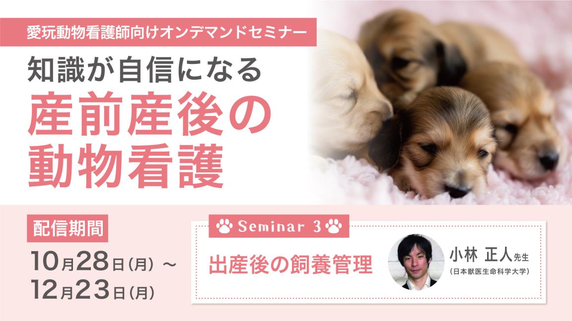 【Seminar3】産前産後の動物看護　産後の飼養管理