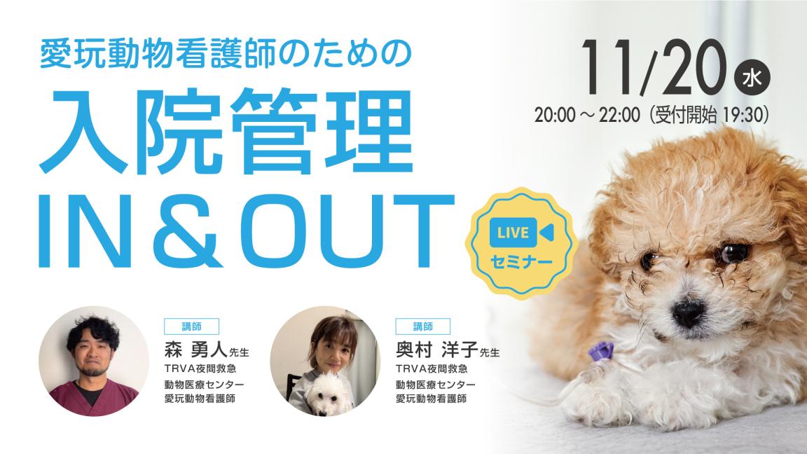 愛玩動物看護師のための入院管理 IN＆OUT