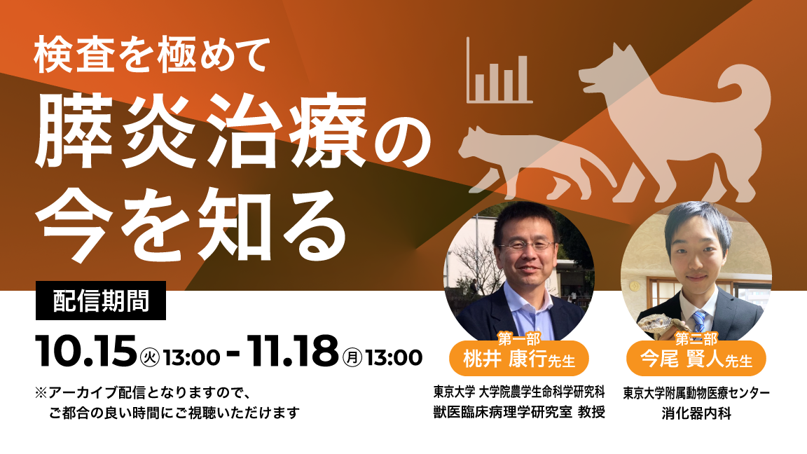 検査を極めて　膵炎治療の今を知る