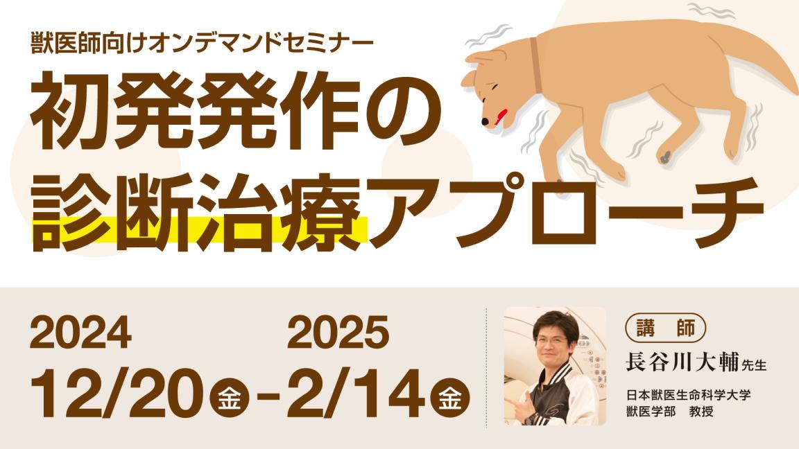 初発発作の診断治療アプローチ