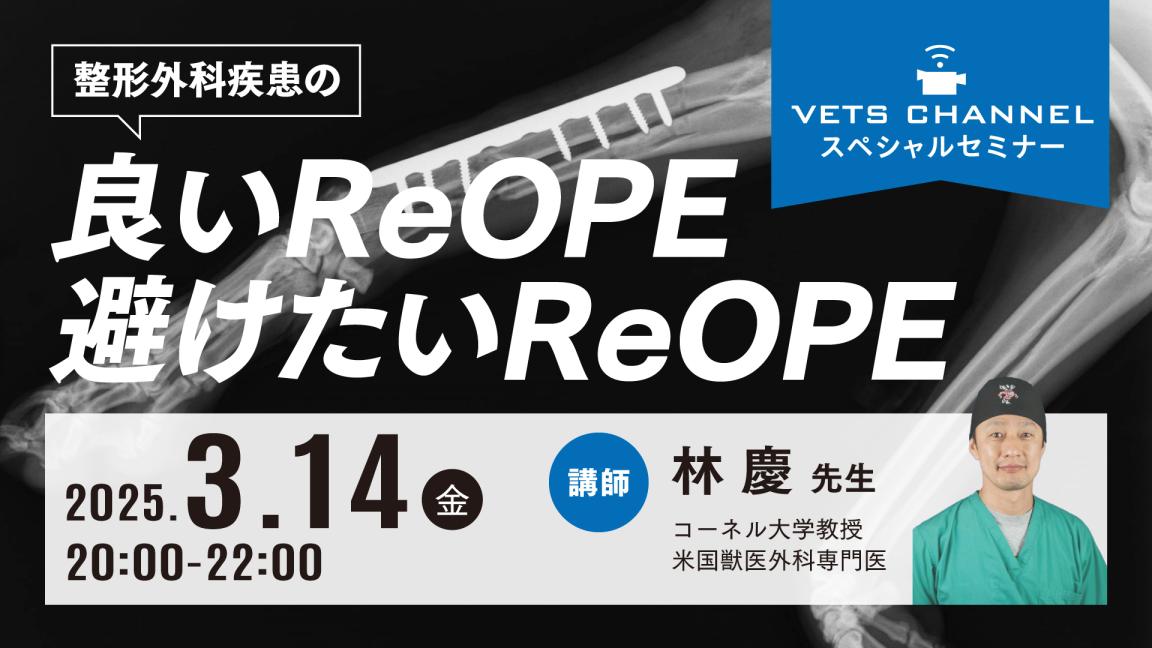 VETS CHANNELスペシャルセミナー　整形外科疾患の良いReOPE・避けたいReOPE