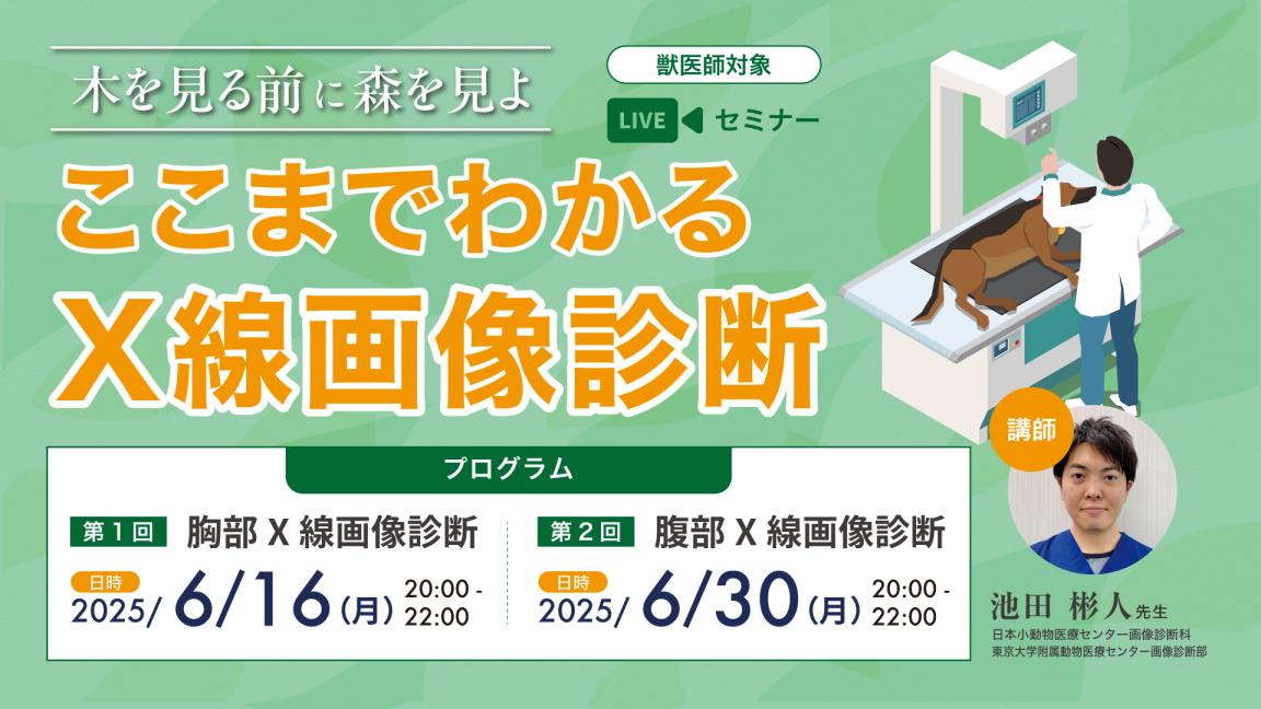 木を見る前に森を見よ ここまでわかるX線画像診断