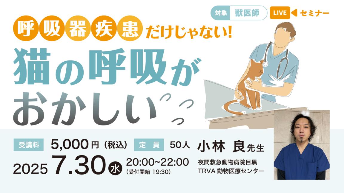 呼吸器疾患だけじゃない！「猫の呼吸がおかしい」