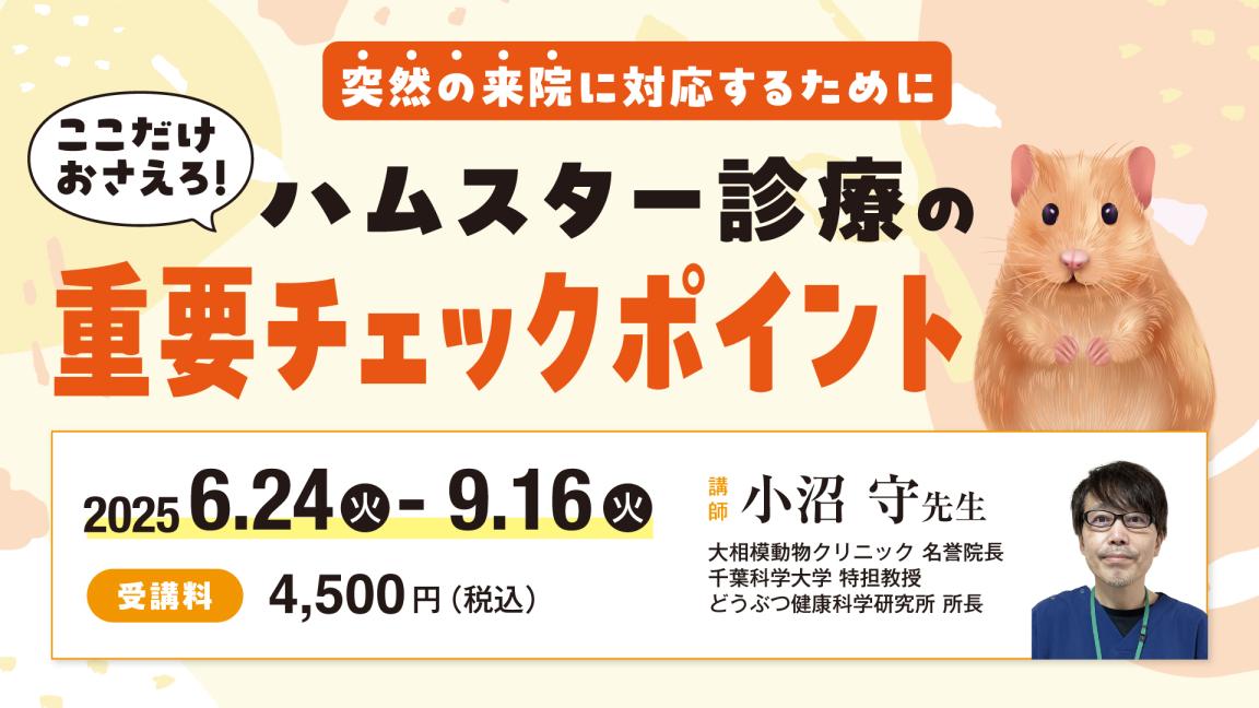 突然の来院に対応するために　ここだけおさえろ！ハムスター診療の重要チェックポイント