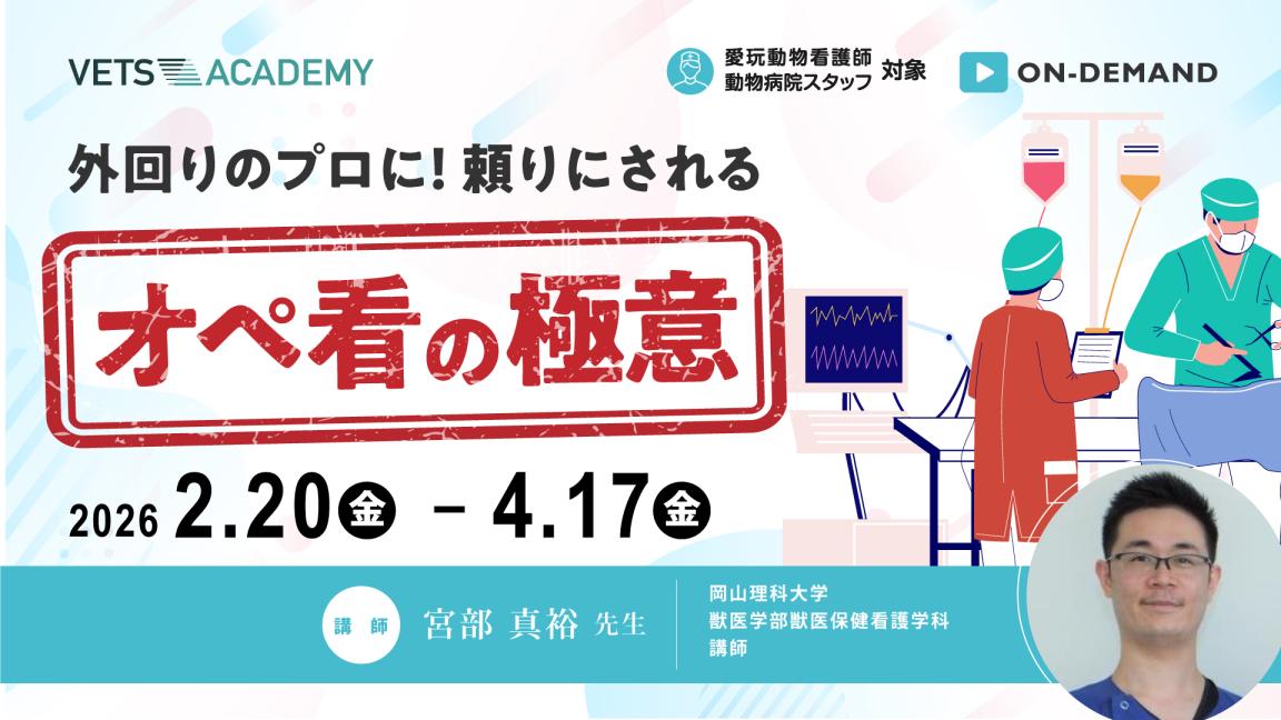 外回りのプロに！頼りにされるオペ看の極意