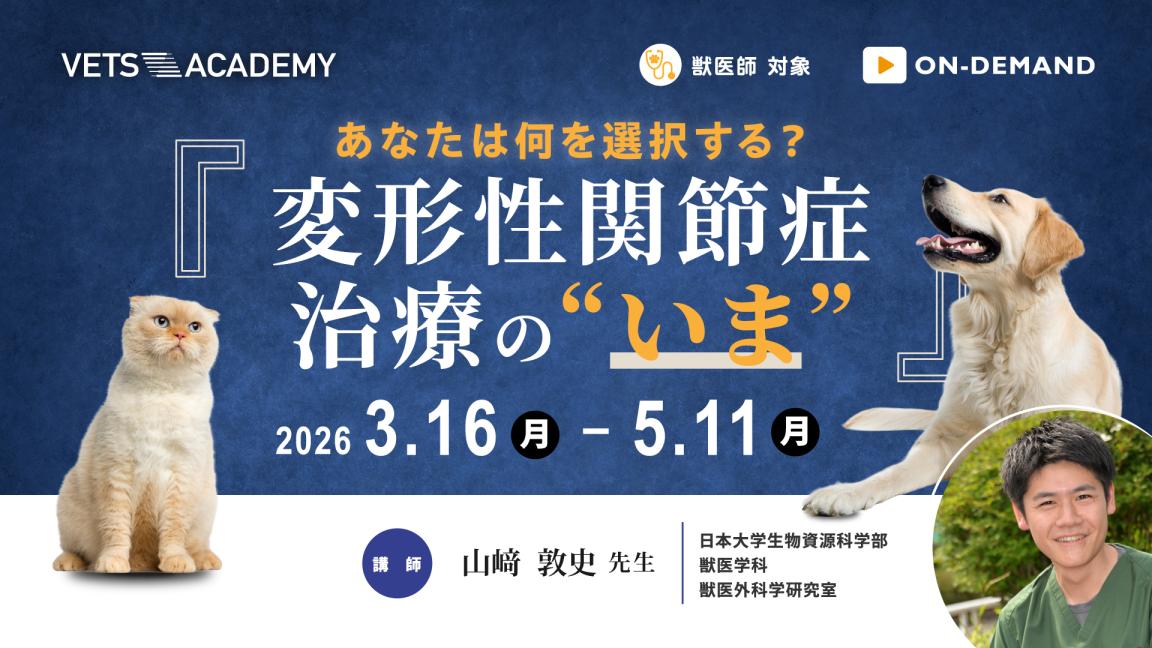 あなたは何を選択する？変形性関節症 治療の“いま”