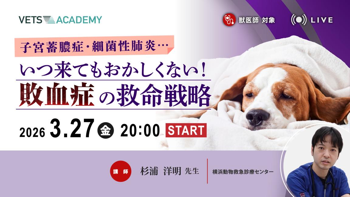 子宮蓄膿症・細菌性肺炎いつ来てもおかしくない！敗血症の救命戦略